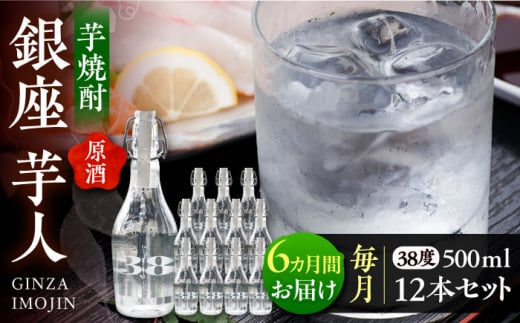 【全6回定期便】芋焼酎 銀座芋人 （原酒）　500ml×12本（38度）《豊前市》【後藤酒造合資会社】 焼酎 酒 いも焼酎 [VDA022]