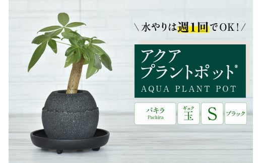 アクアプラントポット®　玉Ｓ（ブラック） 植木鉢　パキラ（2085）