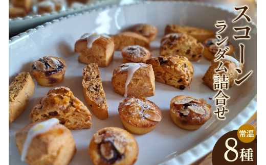 【11月～４月配送】スコーン８種ランダム詰合せ（グルテンフリー含む）（2037）