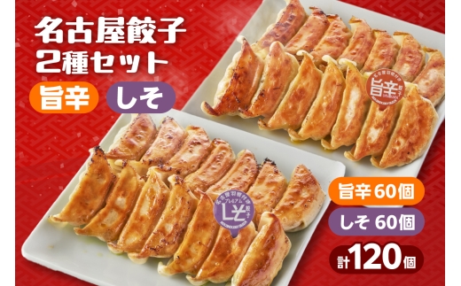 にこにこ餃子の名古屋餃子2種セット(120個入)(2344)