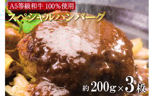 A5等級和牛100% 肉や大善スペシャルハンバーグ(2116)