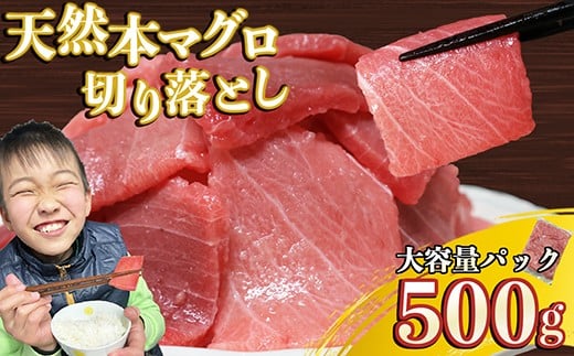 天然本マグロ 切り落とし 大容量パック 500g 天然まぐろ 本マグロ 刺身 中トロ 赤身 まぐろ丼 家族みんなで 手巻き寿司 寿司 天然 まぐろ マグロ 簡単 時短 冷凍 魚介 海鮮 トロ 鮪 人気 返礼品 三重県 尾鷲市 CH-106