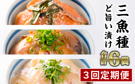 【定期便3回】3種の魚の漬け丼 食べ比べセット(計6袋セット × 3回)ふるさと納税 魚 冷凍 加工品 惣菜 おすすめ おいしい 刺身 おせち セット 産地直送 国産 海鮮 漬け 真空パック 小分け 惣菜 人気 海鮮丼 漬け丼 サーモン 鮭 さけ ブリ 鰤 ぶり 鯛 たい タイ 真鯛 正月 お正月 年末 ふるさと納税 ランキング マグロ専門店 尾鷲市 KI-62
