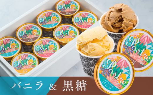【バニラ&黒糖】2種のアイスクリーム 8個セット|すし処 一重 尾鷲 お取り寄せ デザート アイス クリーム 冷凍 ふるさと納税 IJ-48