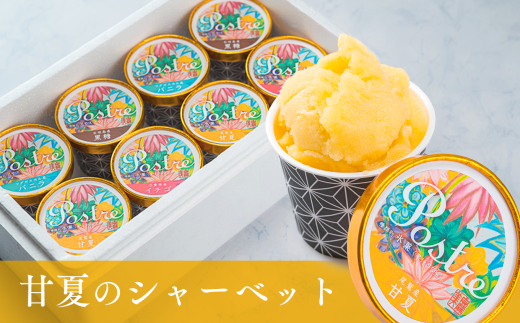 甘夏のシャーベット〈果汁分75%〉8個セット|すし処 一重 尾鷲 お取り寄せ デザート アイス クリーム 冷凍 ふるさと納税 IJ-49