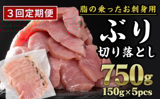 【定期便3回】  生食用 ブリ 切り落し 大満足750gセット（150g × 5パック） 小分け ブランド ぶり 鰤 ブリ ぶりしゃぶ しゃぶしゃぶ 魚 切り身 真空 人気 ランキング 高級 大満足 美味しい 贈答 生食用 刺身 お刺身 刺し身 魚介類 海鮮 冷凍 厚切り 薄切り ふるさと納税 ふるさとチョイス 三重県 尾鷲市 OB-33
