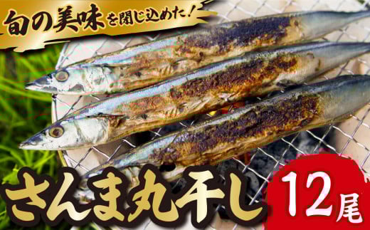 旬 の 美味しさ を閉じ込めた さんま 丸干し  4匹入り×3袋セット 脂 ののった 旬の 秋刀魚 丸ごと 一夜干し 旬の 旨み 脂 を閉じ込めました サンマ 丸干し 海鮮 魚介 三重県 尾鷲  IW-7
