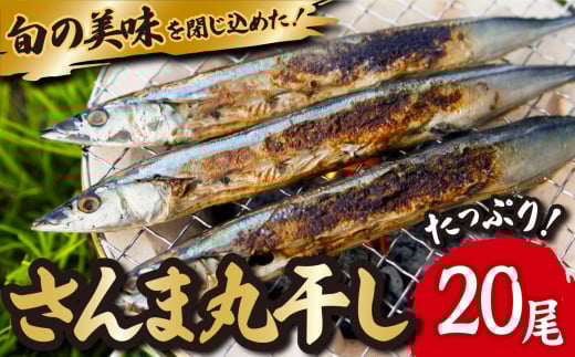 旬 の 美味しさ を閉じ込めた さんま 丸干し  4匹入り×5袋セット 脂 ののった 旬の 秋刀魚 丸ごと 一夜干し 旬の 旨み 脂 を閉じ込めました サンマ 丸干し 海鮮 魚介 三重県 尾鷲  IW-8
