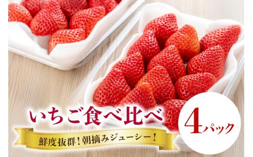 【 2026年 先行予約 】いちご 旬の苺 食べ比べセット 4p Rafすとろべりーふぁーむ イチゴ 苺 4パック 国産 果物 フルーツ くだもの 1月 2月 3月 発送 冬 旬 産地直送 農家直送 産直 甘い デザート スイーツ 家庭用 贈答 贈答用 茨城 茨城県 石岡市 (A27-002)
