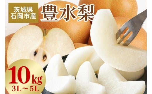 【 2025年 先行予約 】 豊水梨 3L～5L （二段 10kg ）梨 約 20玉 ～ 28玉 品種 幸水 なし ナシ 果物 フルーツ 大玉 5L 4L 3L サイズ 10キロ 8月 発送 夏 旬 産地直送 農家直送 産直 国産 くだもの 甘い 酸味 茨城県産 茨城県 石岡市 (A15-003)