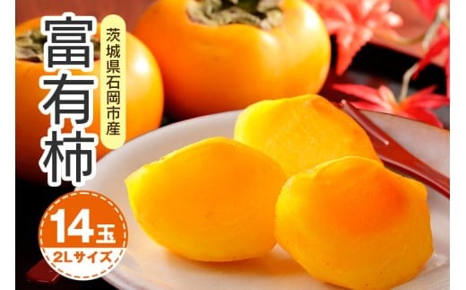 【 2025年 先行予約 】 富有柿 2L 14玉(鈴木柿園) 柿 甘い柿 かき 富有カキ 甘い 果物 フルーツ くだもの カキ 富有かき 秋 旬 甘柿 糖度 贈答用 贈答品 ギフト 贈り物 品種 ブランド 11月 12月 発送 産地直送 農家直送 産直 茨城県 石岡市 (A08-002)