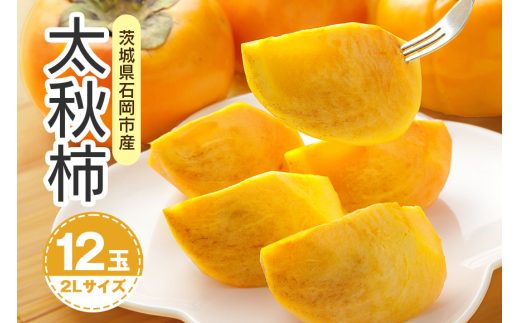 【 2025年 先行予約 】 太秋柿 2L 12玉(鈴木柿園) 柿 甘い柿 太秋かき 大玉 カキ 甘い 果物 フルーツ くだもの カキ 太秋かき 秋 旬 甘柿 糖度 贈答用 贈答品 ギフト 贈り物 品種 ブランド 10月 11月 発送 産地直送 農家直送 産直 茨城県 石岡市 (A08-003)