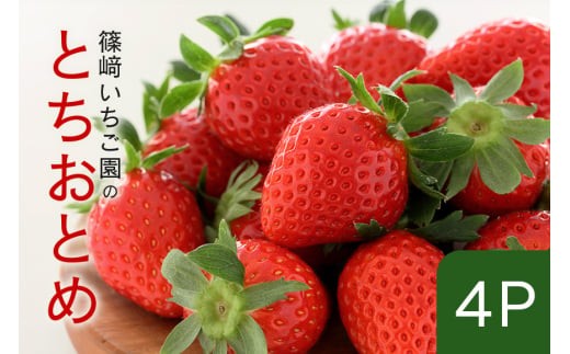【2026年先行予約】とちおとめ4P (A32-003)