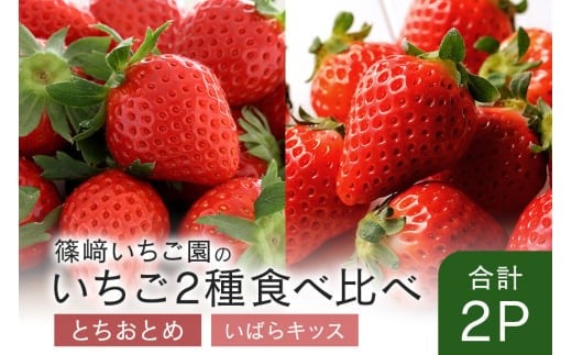 【2026年先行予約】とちおとめ1P&いばらキッス1P (A32-008)