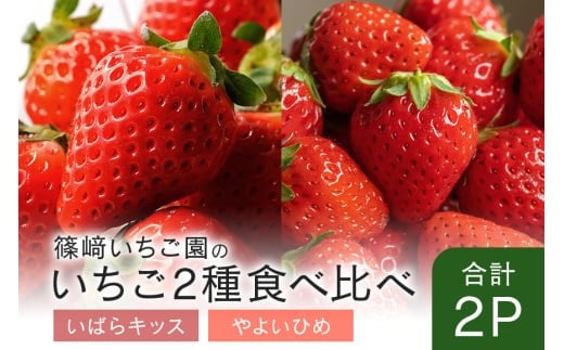 【2026年先行予約】いばらキッス1P&やよいひめ1P (A32-010)
