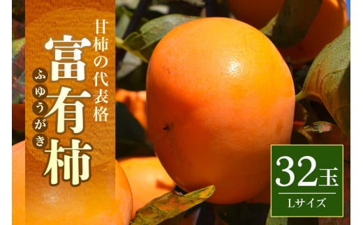 【2025年 先行予約】富有柿 L 32玉(三浦果樹園) 柿 甘い柿 かき 富有カキ 甘い 果物 フルーツ くだもの カキ 富有かき 秋 旬 甘柿 糖度 贈答用 贈答品 ギフト 贈り物 品種 ブランド 11月 発送 産地直送 農家直送 産直 茨城県 石岡市 (A16-006)