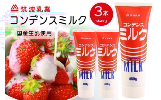 コンデンスミルク 3点 セット 練乳 加糖練乳 480g x3本 業務用 まとめ買い 朝食 製菓 デザート イチゴ いちご かき氷 にかける 家庭用 茨城県 石岡市 G15-007