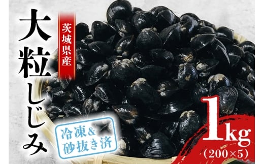 涸沼産 冷凍しじみ 大粒 1kg(200g×5p)【石岡市・水戸市共通返礼品】 しじみ シジミ 蜆 国産 小分け 砂抜き不要 冷凍 冷凍保存 海鮮 貝 魚貝類 魚介類 魚貝 魚介 味噌汁 みそ汁 酒蒸し おつまみ しじみ汁 C10-001