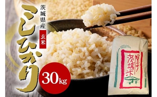 【令和6年産】石岡市産コシヒカリ30kg 玄米 限定30袋 米 お米 こしひかり こめ コシヒカリ ブランド米 取り寄せ 特産 ごはん ご飯 コメ お取り寄せ ギフト 贈り物 お弁当 弁当 おにぎり ふっくら ツヤツヤ 甘い 農家直送 産地直送 数量限定 国産 茨城県産 石岡市 贈答 (B05-006)