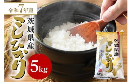 【令和7年産】石岡市産コシヒカリ 5kg 精米 お米 米 白米 茨城県 石岡市 B05-007