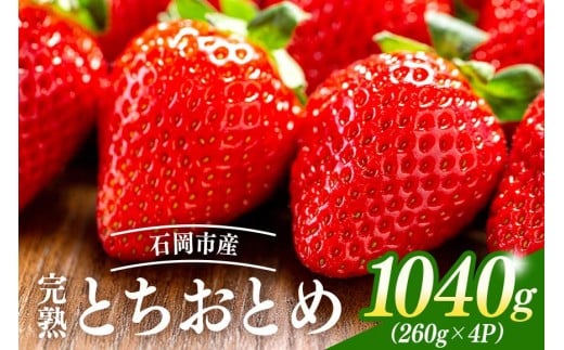 【2026年先行予約】完熟いちご（ とちおとめ ） いちご イチゴ 苺 260g×4パック (計 1kg 以上) 国産 果物 フルーツ くだもの 冬 春 旬 産地直送 農家直送 産直 茨城 茨城県 石岡市 A40-001