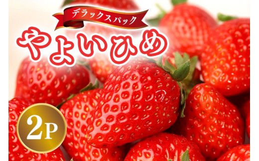 【2026年先行予約】デラックスパック やよいひめ 2p いちご イチゴ 苺 果物 フルーツ くだもの 茨城県 石岡市 A32-022