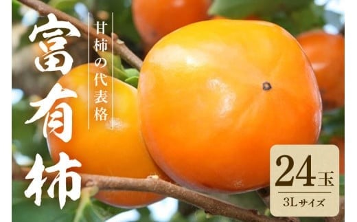 【2025年 先行予約】 富有柿 3L 二段 24玉 (ミナミ観光果樹園) 柿 甘い柿 かき 富有カキ 甘い 果物 フルーツ くだもの カキ 富有かき 秋 旬 甘柿 糖度 贈答用 贈答品 ギフト 贈り物 品種 ブランド 産地直送 農家直送 産直 茨城県 石岡市 (A09-006)