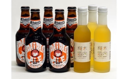 常陸野ネストビール だいだいエール 木内梅酒 8本 セット 木内酒造 ビール クラフトビール エール IPA 国産 アロマ ホップ 梅酒 国産 天満天神梅酒大会 日本一 ビールスピリッツ ギフト 贈り物 産地直送 (D01-007)