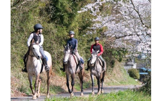 乗馬体験 ( 場内騎乗 & 森林外乗 ) 約 2時間 1名 乗馬 初心者OK 写真撮影付き 馬 アクティビティ 乗馬コース 体験 チケット 関東近辺 首都圏 茨城 里山 自然満喫 観光 旅行 体験ギフト リフレッシュ 茨城県 石岡市 (G02-003)