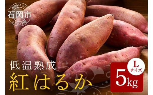 低温熟成 茨城県産 紅はるか さつまいも Lサイズ 5kg ねっとり 甘い 高糖度 大きい L サイズ べにはるか サツマイモ 焼き芋 最適 60日以上熟成 しっとり 食物繊維 ビタミン 健康 旨味 甘み 増す おやつ ギフト 贈答用 さつま芋 石岡市 (A22-001)