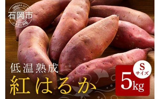 低温熟成 茨城県産 紅はるか さつまいも Sサイズ 5kg ねっとり 甘い 高糖度 べにはるか サツマイモ 焼き芋 最適 60日以上熟成 しっとり 食物繊維 ビタミン 健康 旨味 甘み 増す おやつ ギフト 贈答用 さつま芋 石岡市 (A22-002)