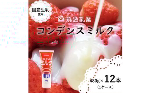【大容量】 コンデンスミルクチューブ 480g × 12本 ( 加糖練乳 ) 練乳 コンデンスミルク いちご かき氷 大容量 アイス パン スイーツ 朝食 お菓子 トースト 贅沢な味わい 乳業メーカー 筑波乳業 茨城県 石岡市 (E18-002)