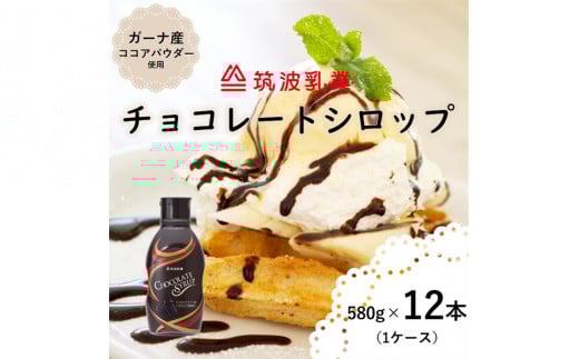 【大容量】チョコレートシロップ 580g × 12本 ( チョコレートソース ) チョコ チョコレート チョコレートシロップ アイス アイスクリーム 大容量 ガーナ産 ココア パウダー使用 ドリンク パン ケーキ 料理 トッピング しっとり 甘い 茨城県 石岡市  (E18-003)