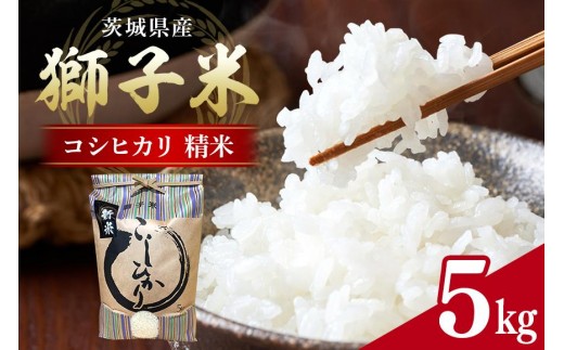 【令和7年産】獅子米 コシヒカリ 精米 5kg 岡田ファーム コンテスト受賞米 お米 白米 米 おこめ ブランド米 こしひかり 5キロ 国産 単一原料米 コメ こめ ご飯 銘柄米 茨城県産 茨城 産直 産地直送 農家直送 ごはん 家庭用 贈答用 お取り寄せ ギフト 茨城県 石岡市 (B02-001)