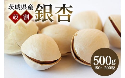 つくば 銀杏 ( ぎんなん ) 殻割 冷凍 500g 農薬不使用 無着色 贈答品 ギフト 高級 旬 食材 食品 国産 冷凍保存 産地直送 送料無料 (A24-001)