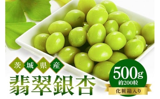 つくば 銀杏 ( ぎんなん ) 蒸し 冷凍 翡翠銀杏 ( ひすいぎんなん ) 500g 農薬不使用 無着色 贈答品 ギフト 高級 旬 食材 食品 国産 冷凍保存 産地直送 送料無料 (A24-002)