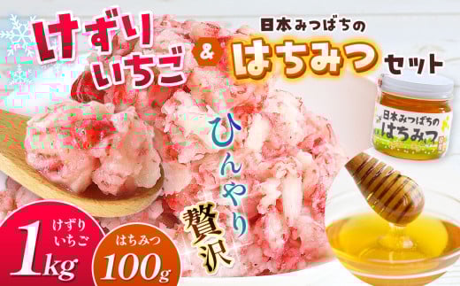けずりいちご と 日本みつばち の はちみつ セット | 果物 くだもの フルーツ いちご イチゴ 冷凍 蜂蜜 ハチミツ 国産 希少 セット 熊本県 玉名市