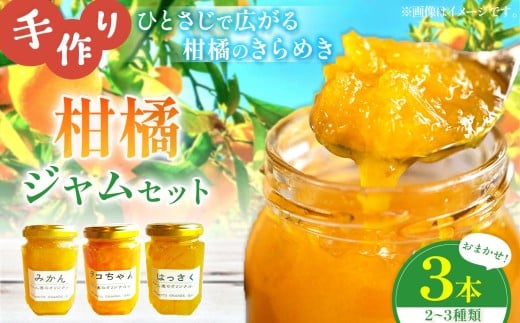 柑橘 ジャム おまかせ 3本 セット 水本オレンジガーデン | ジャム 果物 くだもの フルーツ 柑橘 かんきつ デコポン でこぽん ミカン みかん はっさく 八朔 甘夏 詰め合わせ パン 朝食 果肉 加工食品 熊本県 玉名市