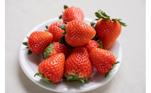 坂本いちご農園 ゆうべに 1kg | 果物 くだもの フルーツ いちご 苺 イチゴ ゆうべに 1kg 熊本県 玉名市