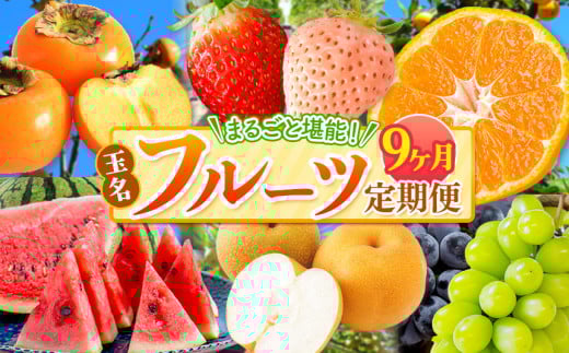 【 定期便 9回 】 まるごと 堪能 ! 人気 フルーツ  | 果物 くだもの フルーツ みかん 赤いちご 白いちご 不知火 スイカ メロン 黒ぶどう シャインマスカット 太秋柿 定期便 9回 熊本県 玉名市
