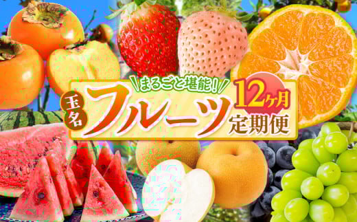 【 定期便 12回 】 まるごと 堪能 ! 人気 フルーツ  | 果物 くだもの フルーツ みかん 赤いちご 白いちご 不知火 スイカ メロン 黒ぶどう シャインマスカット 太秋柿 定期便 12回 12か月1年 熊本県 玉名市