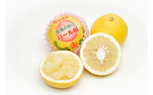 パール柑 訳あり 約5㎏ | フルーツ 果物 柑橘 甘い 爽やか ビタミンC 熊本県 玉名市