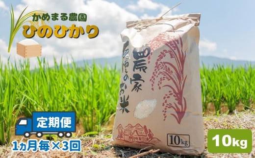 【定期便3回】 かめまる農園 の 「 ひのひかり 」 10kg × 3回 | 米 こめ お米 おこめ 白米 精米 ヒノヒカリ 熊本県 玉名市 定期 定期便