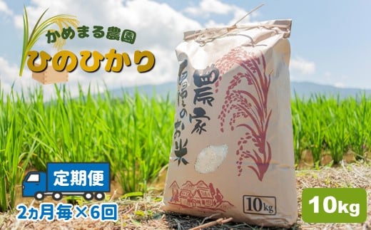 【 定期便 6回 】 かめまる農園 の 「 ひのひかり 」 10kg （ 2ヶ月毎 × 6回 ） | 米 こめ お米 おこめ 白米 精米 ヒノヒカリ 熊本県 玉名市 定期