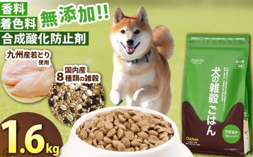 アニマル・ワン 雑穀ごはん 1.6kg×1袋 | 愛犬 犬 ドッグフード 雑穀 国産 無添加 プレミアム 熊本県 玉名市