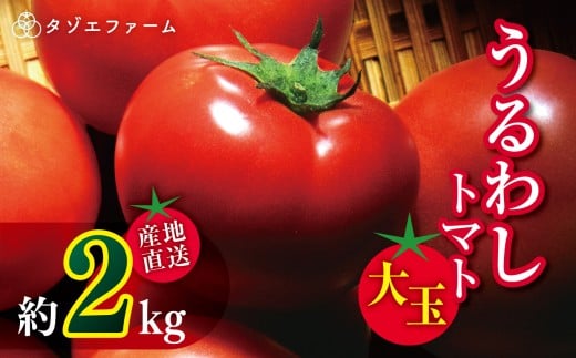 【タゾエファーム】うるわし トマト 大玉 2kg(1kg×2) | 野菜 やさい とまと 産地直送 熊本県 玉名市