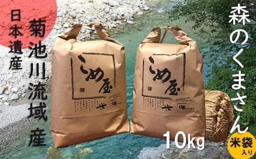 熊本県産 「森のくまさん」 10kg | 米 こめ お米 おこめ 森のくまさん 精米 白米 熊本県 玉名市