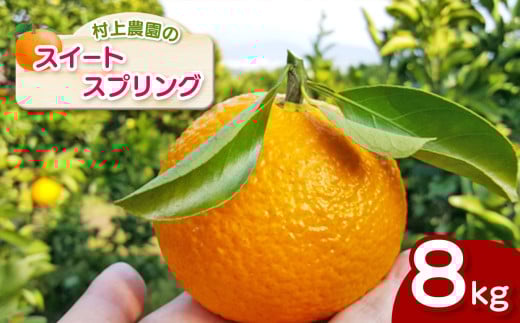 『 村上農園 』 スイートスプリング 8kg | フルーツ 果物 くだもの 柑橘 柑橘類 みかん ミカン スイートスプリング 熊本県 玉名市