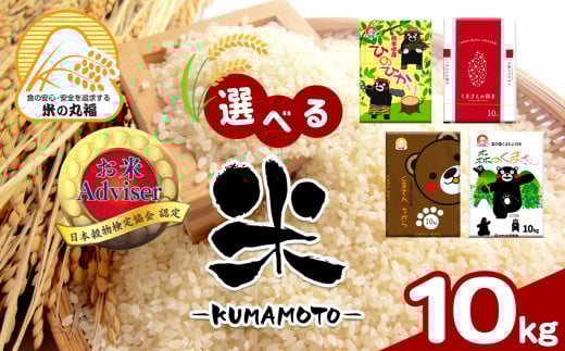熊本県産 ひのひかり 10kg | 米 こめ お米 おこめ 白米 精米 熊本県 玉名市