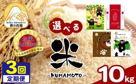 【定期便3回】熊本県産 森のくまさん 10kg×3回 | 米 こめ お米 おこめ 白米 精米 定期 定期便 熊本県 玉名市